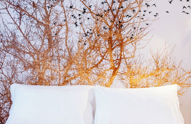 easyhomes - City Centre Suites - Foto 27