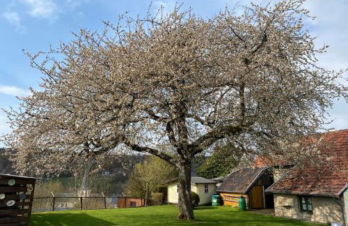 EifelChalet Niederehe - Foto 8