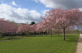 Duplex77 with garage Near Disney - Foto 11