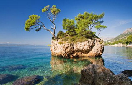 Apartments - Villa Sabrina - Foto 22