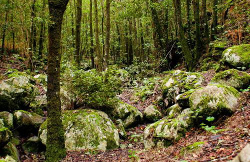 CASA EMBLEMÁTICA MARUCA y LELI - Foto 51