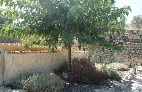 Hort de L'Aubert - Foto 9