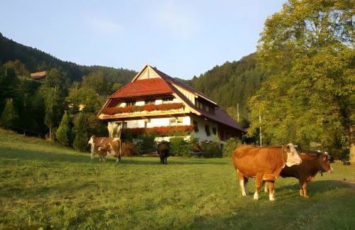 Unterer Gurethshof - Foto 1