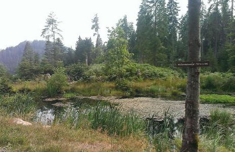 Martina Frey Ferienwohnungen - Foto 29