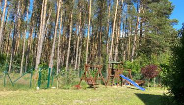 Jarzębinowy Zakątek - Foto 5