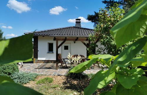 Ferienhaus Hase Bomsdorfer Hof - Foto 1