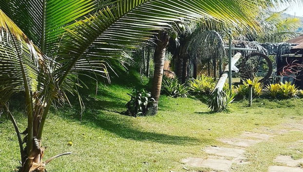 Actividades para menores