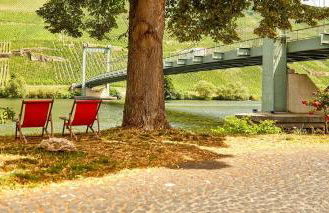 NEU!!! Moselbleibe Uferallee - Foto 80