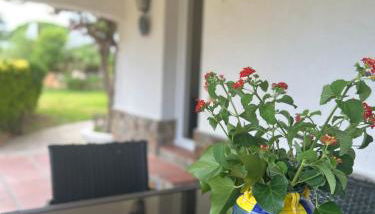 Entre Mar y Montaña - Foto 3