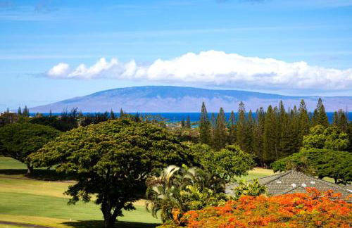 Kapalua Golf Villas 2 Free cars KBM Resorts Large Bedrooms 2 Units 3 Bedrooms ML-2189 - Foto 24