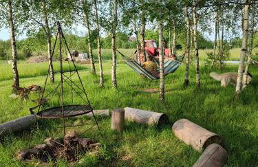 Brzozami Malowane - Photo 13