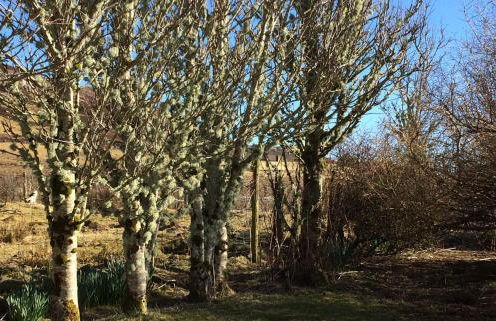 Glen Osdale - Foto 20