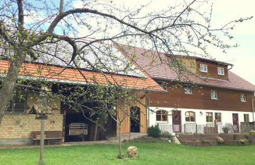 Holstein-Höfle, Rindalphorn - Photo 31