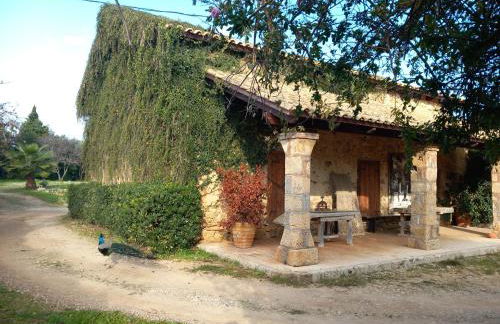 Villa Feia - Photo 39