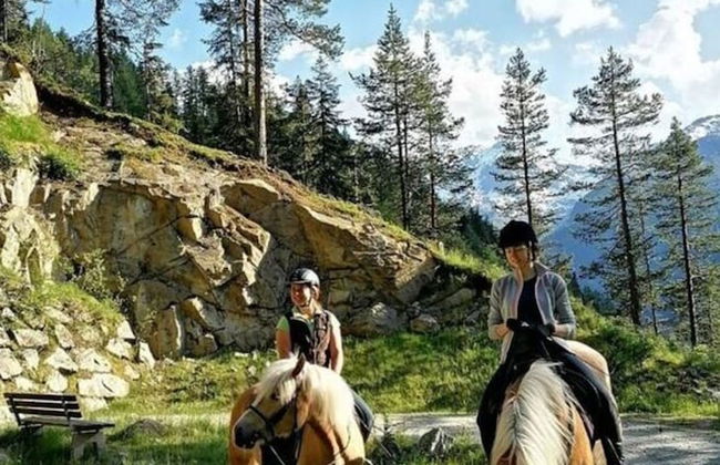 the Veitenhof Comfortable Holiday Residence - Photo 12