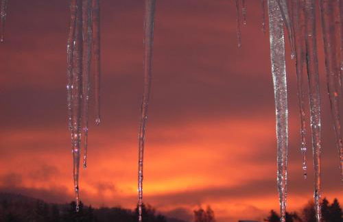 Am Dürrenbachtal - Photo 29