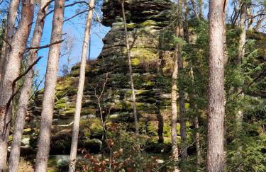 Rausblick Cabin - Foto 19