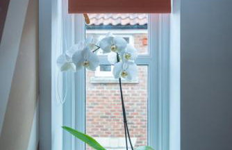 Avalon Sunrise our enchanting Glastonbury cottage - Foto 21