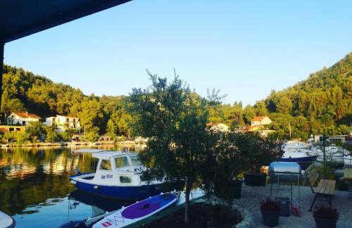 Apartman OZANA - Photo 46