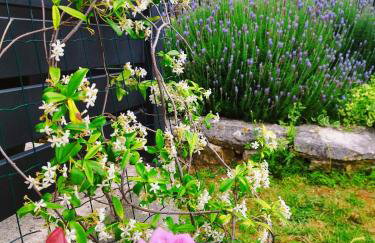 Lennida Studio Apartman with free parking - Foto 34