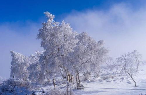Appt lumineux, Thermes et Montagne - Foto 31
