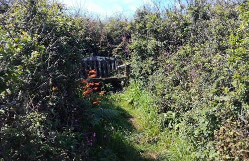 Farm accommodation - The Lizard Peninsula, Cornwall - Foto 28