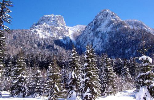 Ferienwohnungen Monika Kloiber - Foto 10