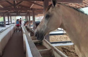 Flat Monte Castelo - Comodidade incrível 2 - Foto 7