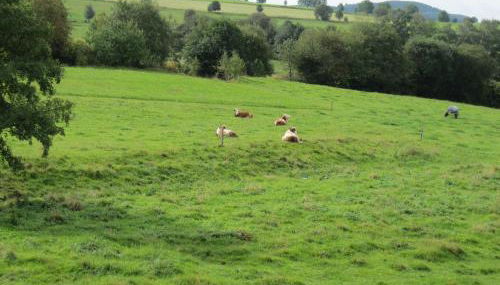 Ferienwohnung Gertraud Müller - Photo 5