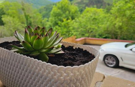 Casa Rural Simonan Borda - Foto 33