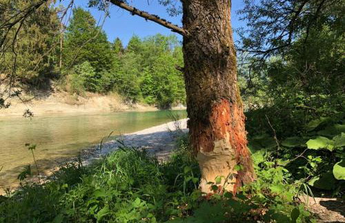 Ferienhaus Königsdorf - Urlaub im Tölzer Land - Foto 49