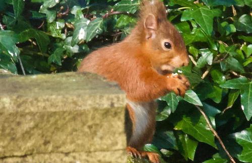 Elm Tree Cottage - Photo 11