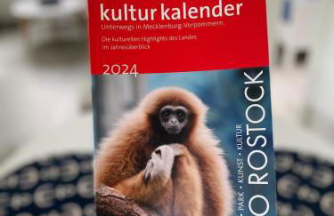 Ferienwohnung Bootsmann Zirchow auf Usedom - Foto 15