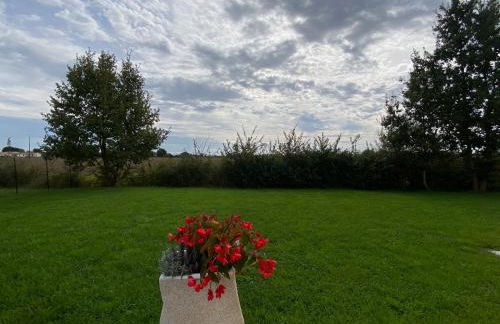 Le gîte des Acacias - Foto 31