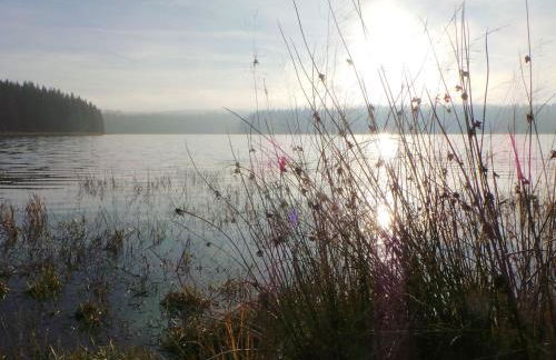 Apartment Fewo Kranichsee WGH by Interhome - Foto 9