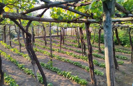 Casa Antonia - Foto 25