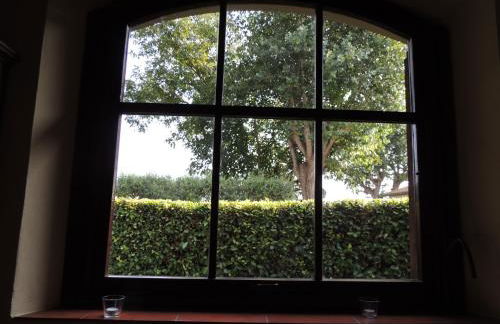 Fattoria di Migliarino - Foto 50