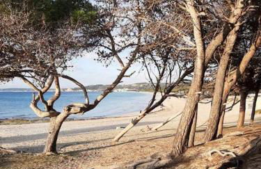 Le Giraffe ( n.CIS LE07503191000035725) - Foto 41