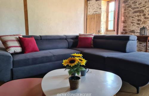 La Dorgisière - Ferme du XVIIe rénovée, grand jardin arboré à 15 min du Puy duFou - Foto 24