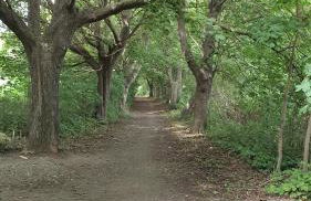 Haus am Meer bitte sehr ! - Foto 43