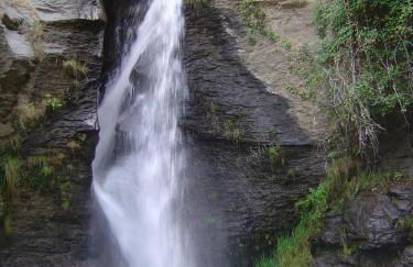 Cortijo Prado Toro - Foto 52