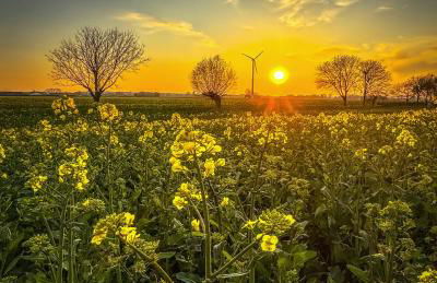 Haus Seestern - Foto 32