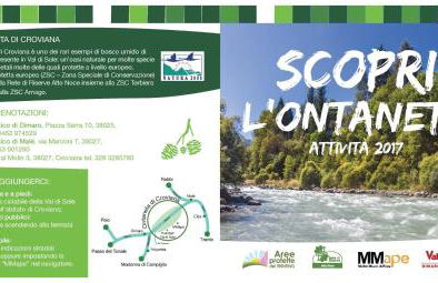 Angeli Dolomiti House - Foto 44