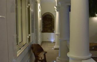 Retrato da Memória-Casa de Campo - Foto 31