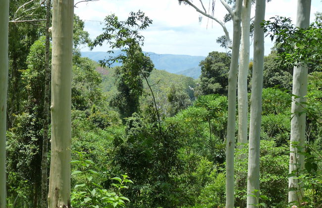 Bellthorpe Stays - Foto 66