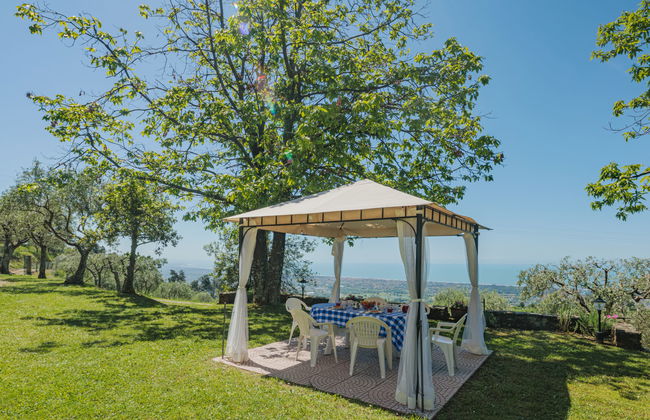 Di Carlino - Foto 20