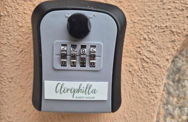 Clorophilla Guest House - Foto 17