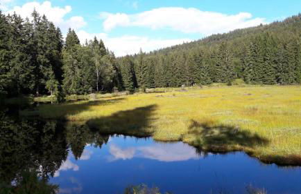 Fewo-Harlachberg-Blick-1 - Foto 17