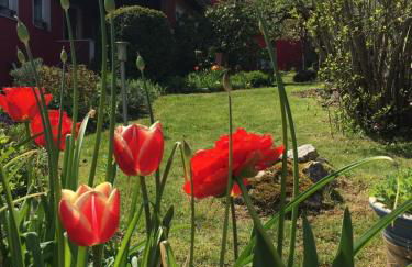 Ferienwohnung Auenthal - Foto 13