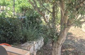 Bonvivan House - Photo 15